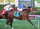 Gala Award wins the Palm Beach Stakes.
<br><a target="blank" href="http://photos.bloodhorse.com/AtTheRaces-1/At-the-Races-2014/35724761_2vdnSX#!i=3100426272&k=hNFcmL9">Order This Photo</a>