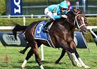 Wallyanna Lights Up Hall of Fame Stakes Wallyanna Lights Up Hall of Fame Stakes