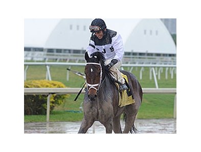 John Velazquez smiles after his win aboard Got Lucky.<br><a target="blank" href="http://photos.bloodhorse.com/AtTheRaces-1/At-the-Races-2014/35724761_2vdnSX#!i=3049420461&k=9t33FN2">Order This Photo</a>
