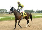 Haskin: Puckish Pletcher Pair Haskin: Puckish Pletcher Pair