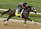 Kentucky Derby 2013: Gary Stevens - Oxbow Kentucky Derby 2013: Gary Stevens - Oxbow