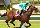 Story to Tell was an eye-catching maiden special weight winner May 23.
