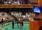 FT Saratoga $1.25M Sale-topper in the Ring FT Saratoga $1.25M Sale-topper in the Ring