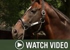 HRTV: Inside Information - 12/24/07 HRTV: Inside Information - 12/24/07