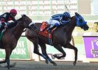 Private Zone fights off Dads Caps to win the Vosburgh.<br><a target="blank" href="http://photos.bloodhorse.com/AtTheRaces-1/At-the-Races-2014/i-GtjXHxd">Order This Photo</a>