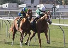 Kiss to Remember won the 2014 Battle of New Orleans Stakes.