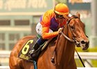 Beholder Primed for Return in Torrey Pines Beholder Primed for Return in Torrey Pines