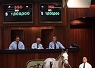 Tapit colt sells for $1.6 million at OBS March sale.