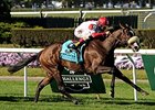 Stephanie's Kitten rolls to victory in the Flower Bowl. <br><a target="blank" href="http://photos.bloodhorse.com/AtTheRaces-1/At-the-Races-2014/i-SF4vMbr">Order This Photo</a>