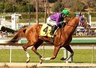 California Chrome