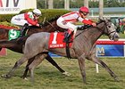 Ready to Act takes on Daring Kathy and 8 others in the Ontario Colleen.<br><a target="blank" href="http://photos.bloodhorse.com/AtTheRaces-1/At-the-Races-2014/35724761_2vdnSX#!i=3043941114&k=GfcRZvq">Order This Photo</a>