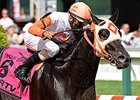 Ben's Cat
<br><a target="blank" href="http://photos.bloodhorse.com/AtTheRaces-1/At-the-Races-2014/i-f98LwQ4">Order This Photo</a>