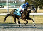 Black Onyx won the 2013 Spiral Stakes.