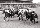 Ta Wee in the 1969 Vosburgh Handicap.