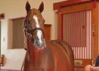 English Channel at Calumet Farm.