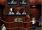 Hip No. 343, a chestnut colt by Giant's Causeway was one of two horses sold for $1.6 million dollars.