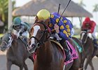 Sing Praises won the 2014 Florida Sire Dr. Fager Stakes, the first leg of the Florida Sire Stakes series. <br><a target="blank" href="http://photos.bloodhorse.com/AtTheRaces-1/At-the-Races-2014/i-sn36Dvz">Order This Photo</a>