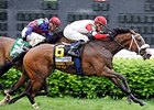 Stephanie's Kitten seeks her first win of 2014 in the Flower Bowl.<br><a target="blank" href="http://photos.bloodhorse.com/AtTheRaces-1/at-the-races-2013/27257665_QgCqdh#!i=2499224791&k=HwZd8nH">Order This Photo</a>