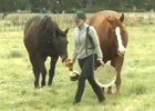 Video: International Feature - Living Legends Video: International Feature - Living Legends
