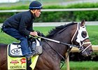 Starlight, Skychai Double Their Derby Chances Starlight, Skychai Double Their Derby Chances