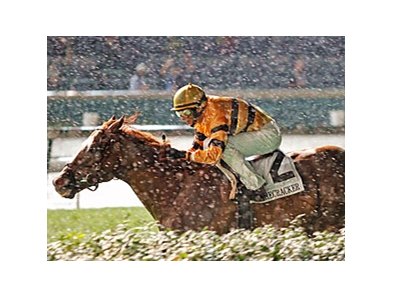 <BR>The Eclipse Award-winning photograph.
