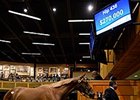Hip 436 by Lookin At Lucky sold for $270,000 at the Fasig-Tipton New York-bred Yearling Sale.