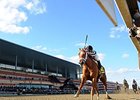 My Miss Sophia, Got Lucky Breeze at Churchill My Miss Sophia, Got Lucky Breeze at Churchill