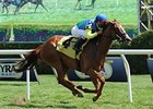Dayatthespa won the 2013 Yaddo Stakes. <br><a target="blank" href="http://photos.bloodhorse.com/AtTheRaces-1/at-the-races-2013/27257665_QgCqdh#!i=2705986978&k=kbjZKC9">Order This Photo</a>