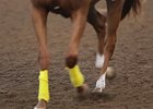 Keeneland Dirt Racing Surface Reveal Keeneland Dirt Racing Surface Reveal