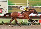Irish Surf runs away from the competition in the Cougar II Stakes.