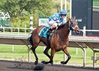 Aurelia's Belle rolls to victory in the Arlington Oaks.