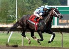 Verrazano <br><a target="blank" href="http://photos.bloodhorse.com/AtTheRaces-1/at-the-races-2013/27257665_QgCqdh#!i=2662515720&k=Hdf7pZD">Order This Photo</a>