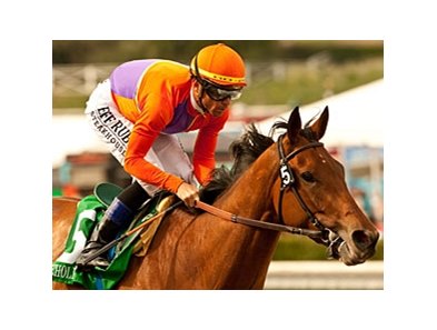Beholder