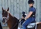 Palace Malice wearing a Pletcher saddle cloth.
<br><a target="blank" href="http://photos.bloodhorse.com/AtTheRaces-1/At-the-Races-2014/i-SzHBPqG">Order This Photo</a>