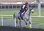 Dubai Carnival: March 6 Morning Training Dubai Carnival: March 6 Morning Training