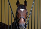 Frankel