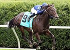 No Nay Never Returns With Woodford Win No Nay Never Returns With Woodford Win