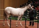 Keeneland September Sale Day 2 Recap, 2012 Keeneland September Sale Day 2 Recap, 2012