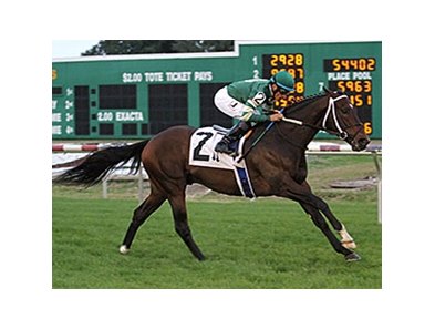 Daddy Nose Best won the Buddy Dilberto Memorial Handicap at Fair Grounds on Dec. 21.