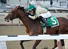 Samraat Headed Back to Saratoga After Surgery Samraat Headed Back to Saratoga After Surgery
