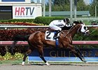 Fast Anna
<br><a target="blank" href="http://photos.bloodhorse.com/AtTheRaces-1/At-the-Races-2014/i-pDt8GNf">Order This Photo</a>