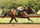 Empire Dreams streaks home to win the New York Derby.