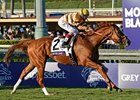 Wise Dan will look to defend his title in the 2013 Breeders' Cup Mile. <br><a target="blank" href="http://photos.bloodhorse.com/BreedersCup/2012-Breeders-Cup/Mile/26128708_Rzcb63#!i=2194067782&k=GbNqMRD">Order This Photo</a>
