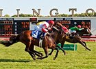 Infinite Magic won the 2013 American Derby.