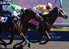 Sensational Slam will break from the far outside post in the Bold Venture.