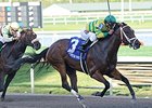 Onlyforyou delivers victory in the Davona Dale.<br><a target="blank" href="http://photos.bloodhorse.com/AtTheRaces-1/At-the-Races-2014/35724761_2vdnSX#!i=3088305212&k=dGRz7CL">Order This Photo</a>