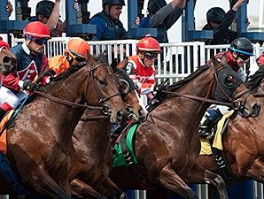 Key Owners, Trainers to Publicize Vet Records Key Owners, Trainers to Publicize Vet Records