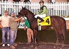 Apprentice Ritvo Wins With First Laurel Mount Apprentice Ritvo Wins With First Laurel Mount