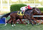 Storming Inti wins the Kitten's Joy Stakes.
<br><a target="blank" href="http://photos.bloodhorse.com/AtTheRaces-1/At-the-Races-2014/35724761_2vdnSX#!i=3031416787&k=5zmDNFP">Order This Photo</a>