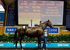 Group I producer Disguise sold for $750,000 ($696,603).